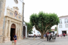 104Obidos31