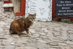 093Obidos17