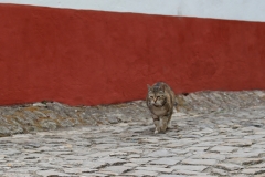 094Obidos18