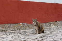 095Obidos19